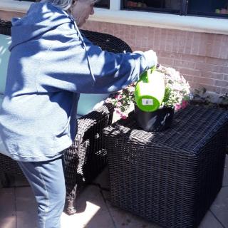 A person is watering plants outdoors with a green watering can.