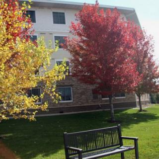 A scenic autumn view with colorful trees and a bench in front of a building.