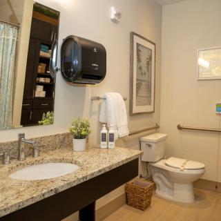 A well-organized bathroom with a granite countertop, featuring a sink, toilet, mirror, and decor items.