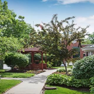 A suburban garden with a winding pathway surrounded by lush greenery and trees.