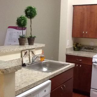 A cozy kitchen with wooden cabinets and a marble countertop adorned with potted plants.