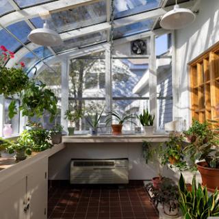 A bright and inviting greenhouse filled with various plants, showcasing the beauty of nature indoors.