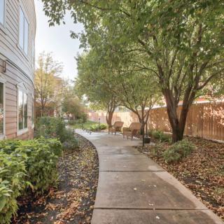 A peaceful garden pathway lined with trees and shrubs.