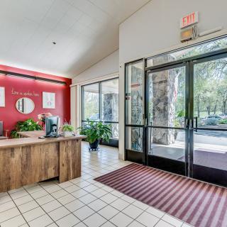 A modern office lobby with a reception desk, potted plants, and large glass entrance doors.