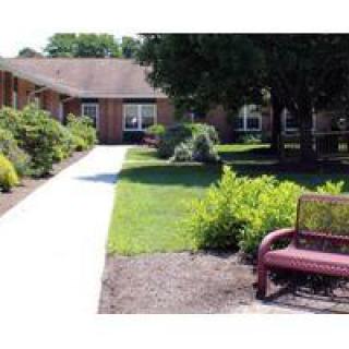 A peaceful garden with a pathway leading to a building, surrounded by greenery and featuring a bench.