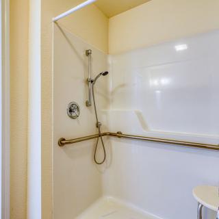 A bathroom with a walk-in shower featuring a handheld showerhead and safety grab bar.