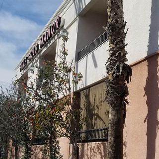 A building with a sign and trees in front on a sunny day.