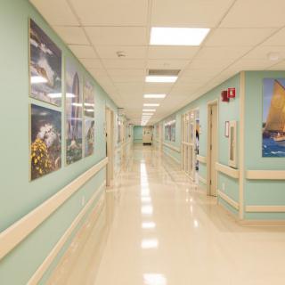 A clean and well-lit hospital corridor with artwork on the walls.