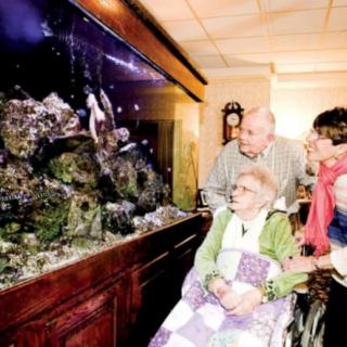 An elderly woman in a wheelchair, accompanied by two people, enjoys watching an aquarium.