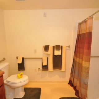 A simple bathroom with a shower curtain, toilet, and neatly arranged towels.