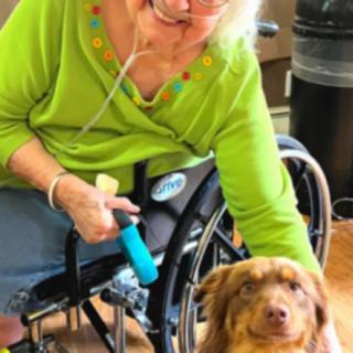 Carlisle Center For Wellness And Rehab