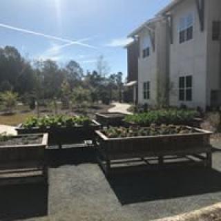 Raised planter boxes in a sunny outdoor area near a building.