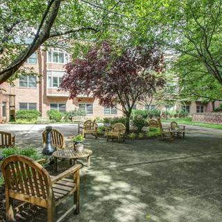 A tranquil courtyard garden with wooden benches surrounded by lush trees.
