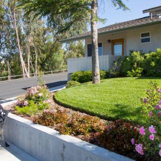 A modern house with a well-maintained lawn and garden, featuring colorful flowers and surrounding trees.