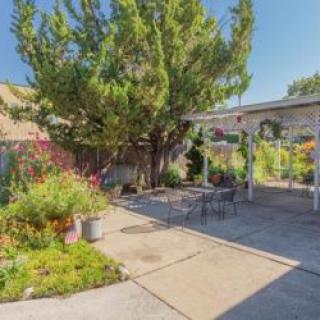 A sunny backyard garden with a patio area and lush greenery.