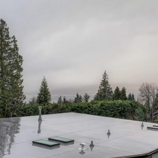 A rooftop view overlooking a lush, tree-filled landscape under an overcast sky.