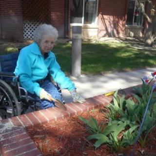 An elderly woman in a wheelchair gardening outside during the day.