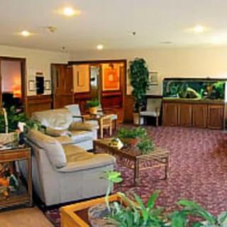 A cozy living room with comfortable sofas, a large fish tank, and decorative plants.