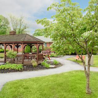 A serene garden featuring a charming gazebo surrounded by lush greenery and a winding pathway.