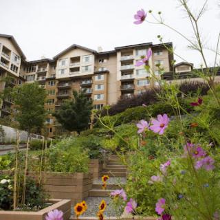 A beautifully landscaped garden with vibrant flowers in the foreground, showcasing a modern residential building in the background.