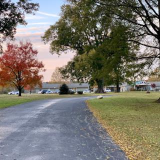 A serene pathway lined with trees showcasing the vibrant colors of autumn.