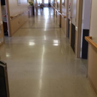 A clean, well-lit hallway in a building, featuring polished floors and doors along the sides.