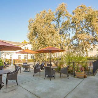 A sunny patio with chairs and tables, shaded by large umbrellas and surrounded by trees.