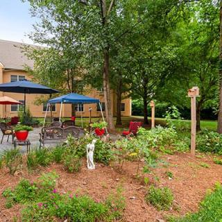 A serene garden with patio seating and vibrant umbrellas under the shade of tall trees.