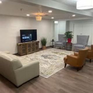 A modern living room with a cozy arrangement of seating, including a sofa and chairs, centered around a television and complemented by stylish decor and indoor plants.
