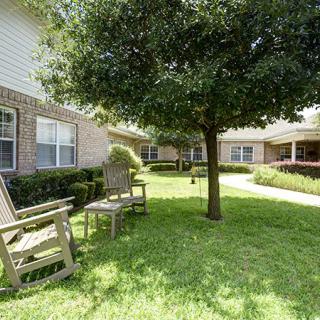 A peaceful courtyard with benches under a tree.