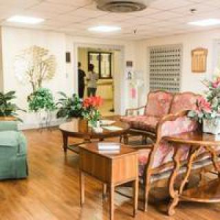 A cozy lobby with comfortable seating and indoor plants, featuring a warm and inviting atmosphere.