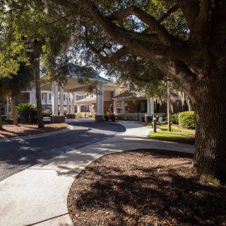 A sunlit driveway leads to the entrance of a building surrounded by trees.