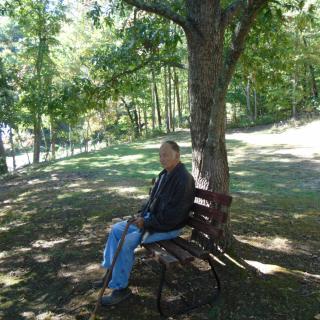 A person sitting on a bench under a tree in a park.