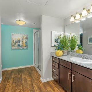 A modern bathroom with wooden floors, a large mirror, and potted plants.