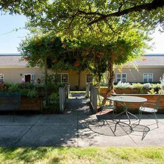 A serene patio area with a table and chairs under the shade of lush trees, surrounded by greenery on a sunny day.
