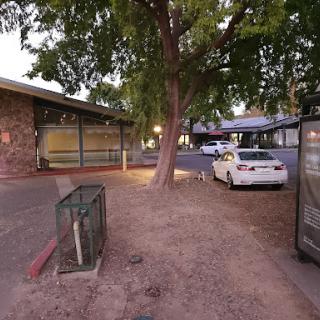A quiet urban scene in the evening, featuring a tree beside a parking lot with a white car parked nearby.