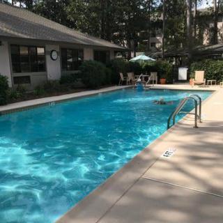 A tranquil outdoor swimming pool surrounded by greenery and lounge chairs on a sunny day.
