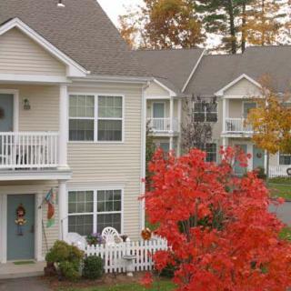 A suburban neighborhood with houses surrounded by vibrant autumn foliage.