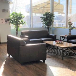 A cozy lobby area with leather couches, a coffee table, and potted plants basking in sunlight.
