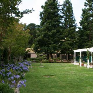 A scenic garden with vibrant green grass, tall trees, and blooming flowers.