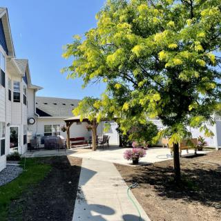 A sunny courtyard with a tree and pathway next to a building.