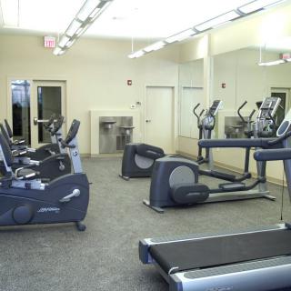 A gym with cardio equipment including treadmills and elliptical machines.