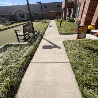 A sunny pathway lined with grass, leading towards a residential area.
