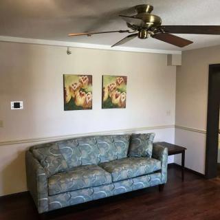 A cozy living room featuring a patterned sofa, two pieces of floral artwork, a ceiling fan, and a small side table.