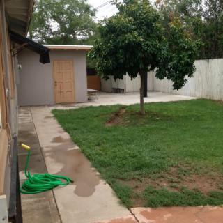 A backyard with a grassy lawn, a tree, and a small shed.