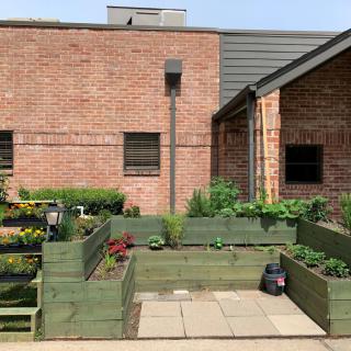 A small urban garden with raised beds filled with various plants against a brick building backdrop.