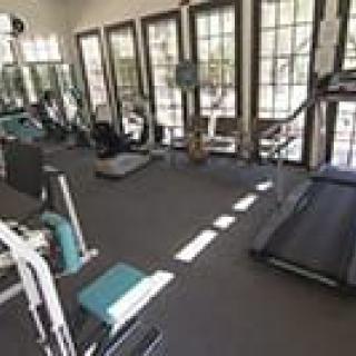 A well-lit gym with various exercise equipment and large windows.