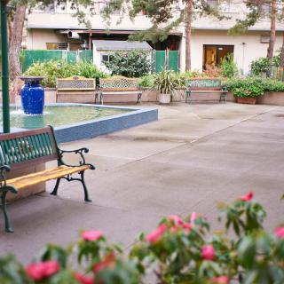 A peaceful urban garden with benches, a fountain, and blooming flowers.