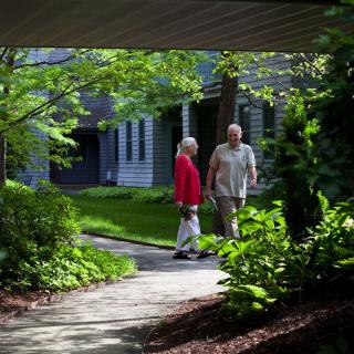 A couple taking a walk through a lush garden path surrounded by trees.