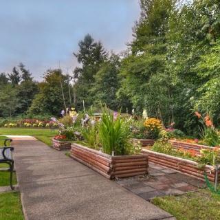 A serene garden with a paved pathway, surrounded by lush greenery and vibrant flowers.